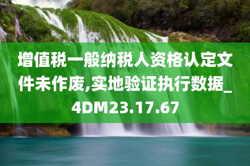 增值税一般纳税人资格认定文件未作废,实地验证执行数据_4DM23.17.67