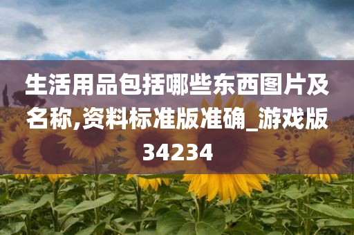 生活用品包括哪些东西图片及名称,资料标准版准确_游戏版34234