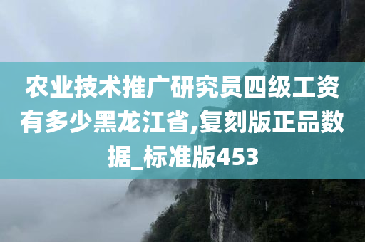 农业技术推广研究员四级工资有多少黑龙江省,复刻版正品数据_标准版453