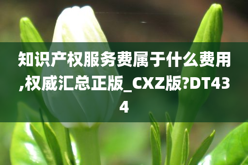 知识产权服务费属于什么费用,权威汇总正版_CXZ版?DT434