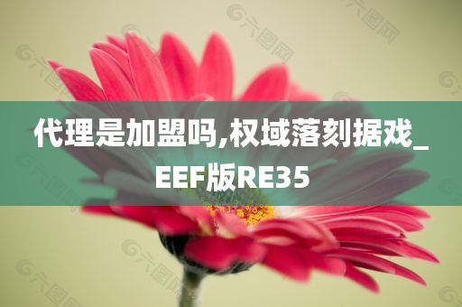 代理是加盟吗,权域落刻据戏_EEF版RE35