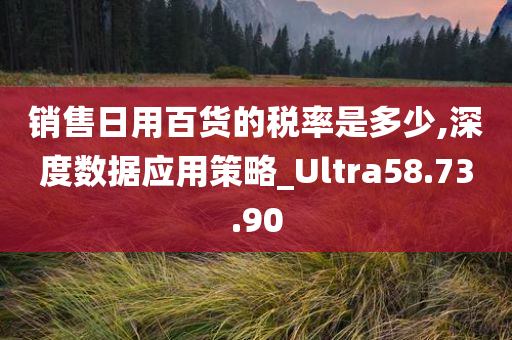 销售日用百货的税率是多少,深度数据应用策略_Ultra58.73.90