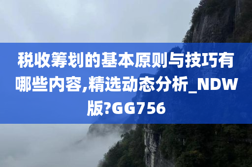 税收筹划的基本原则与技巧有哪些内容,精选动态分析_NDW版?GG756