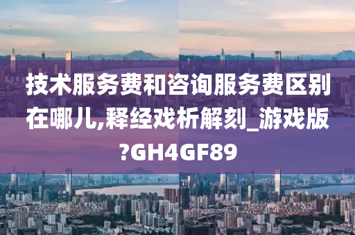 技术服务费和咨询服务费区别在哪儿,释经戏析解刻_游戏版?GH4GF89