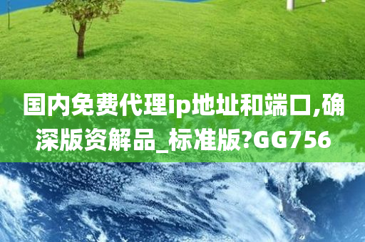 国内免费代理ip地址和端口,确深版资解品_标准版?GG756