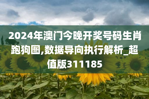 2024年澳门今晚开奖号码生肖跑狗图,数据导向执行解析_超值版311185