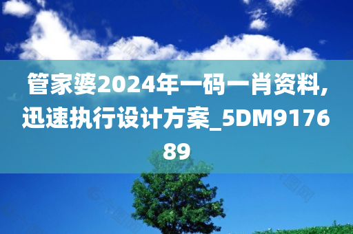 管家婆2024年一码一肖资料,迅速执行设计方案_5DM917689