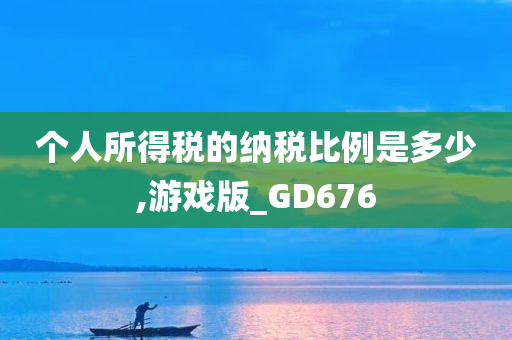 个人所得税的纳税比例是多少,游戏版_GD676