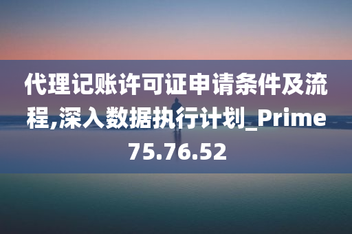 代理记账许可证申请条件及流程,深入数据执行计划_Prime75.76.52