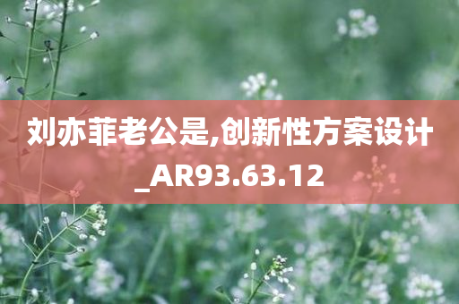 刘亦菲老公是,创新性方案设计_AR93.63.12