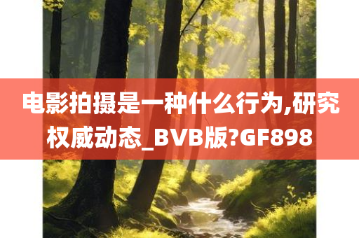 电影拍摄是一种什么行为,研究权威动态_BVB版?GF898