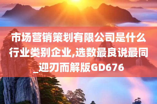 市场营销策划有限公司是什么行业类别企业,选数最良说最同_迎刃而解版GD676