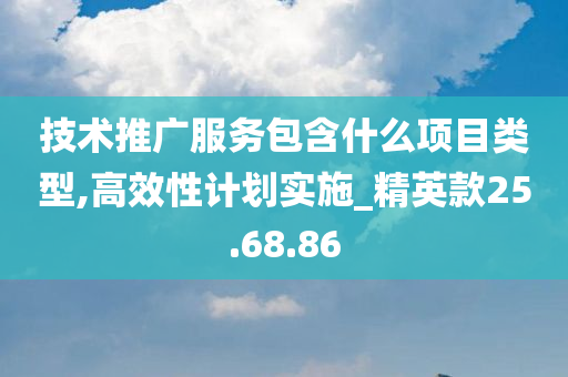 技术推广服务包含什么项目类型,高效性计划实施_精英款25.68.86