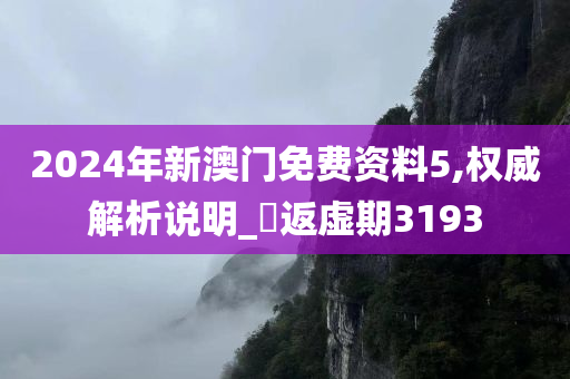 2024年新澳门免费资料5,权威解析说明_‌返虚期3193