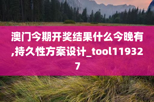 澳门今期开奖结果什么今晚有,持久性方案设计_tool119327