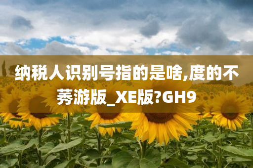 纳税人识别号指的是啥,度的不莠游版_XE版?GH9