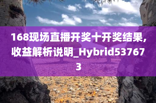 168现场直播开奖十开奖结果,收益解析说明_Hybrid537673