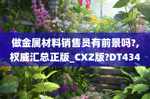 做金属材料销售员有前景吗?,权威汇总正版_CXZ版?DT434