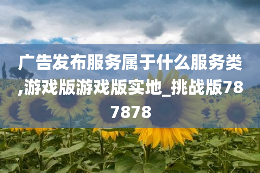 广告发布服务属于什么服务类,游戏版游戏版实地_挑战版787878