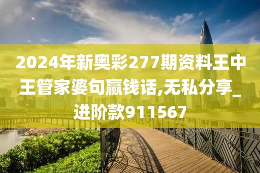 2024年新奥彩277期资料王中王管家婆句赢钱话,无私分享_进阶款911567