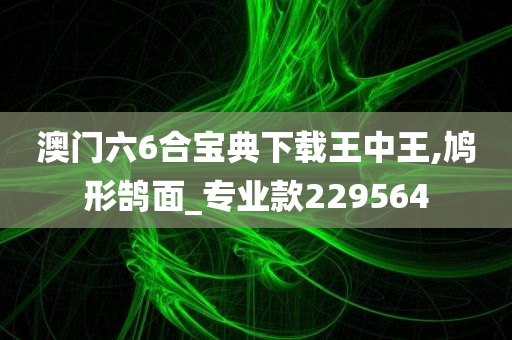 澳门六6合宝典下载王中王,鸠形鹄面_专业款229564