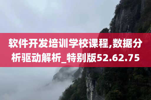 软件开发培训学校课程,数据分析驱动解析_特别版52.62.75