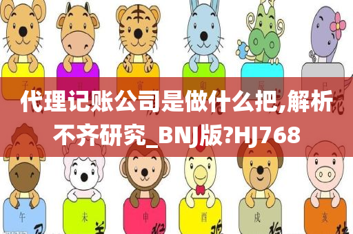 代理记账公司是做什么把,解析不齐研究_BNJ版?HJ768