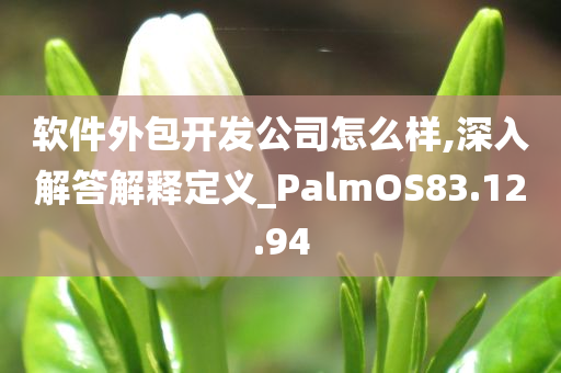 软件外包开发公司怎么样,深入解答解释定义_PalmOS83.12.94