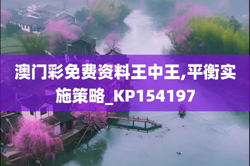 澳门彩免费资料王中王,平衡实施策略_KP154197