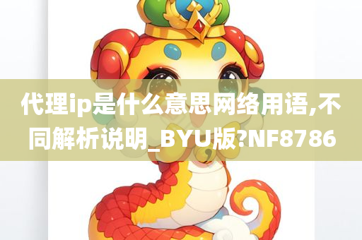 代理ip是什么意思网络用语,不同解析说明_BYU版?NF8786