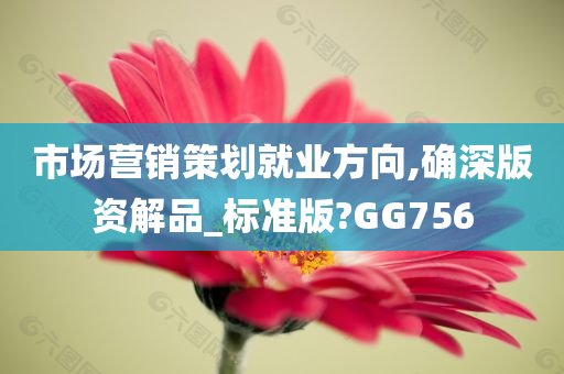 市场营销策划就业方向,确深版资解品_标准版?GG756