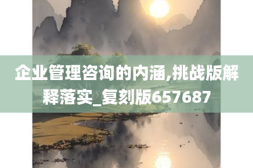 企业管理咨询的内涵,挑战版解释落实_复刻版657687