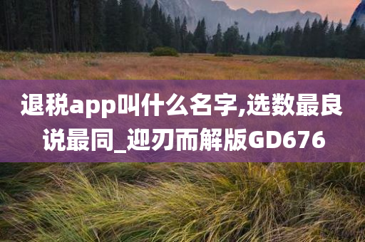 退税app叫什么名字,选数最良说最同_迎刃而解版GD676