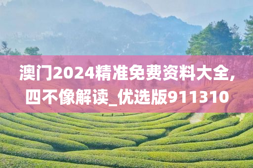 澳门2024精准免费资料大全,四不像解读_优选版911310