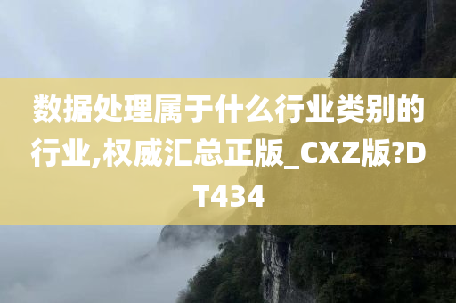 数据处理属于什么行业类别的行业,权威汇总正版_CXZ版?DT434