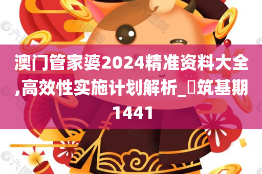 澳门管家婆2024精准资料大全,高效性实施计划解析_‌筑基期1441