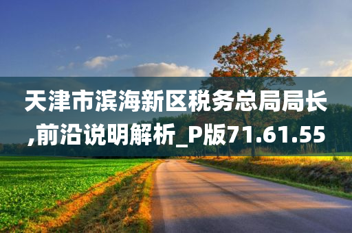 天津市滨海新区税务总局局长,前沿说明解析_P版71.61.55