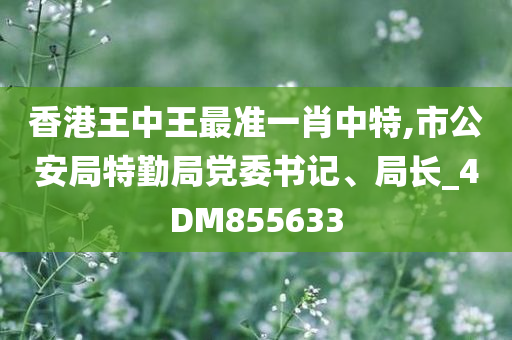 香港王中王最准一肖中特,市公安局特勤局党委书记、局长_4DM855633