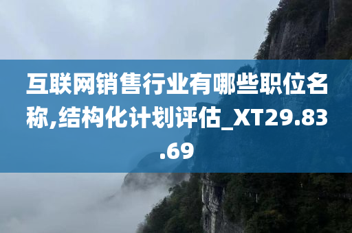 互联网销售行业有哪些职位名称,结构化计划评估_XT29.83.69