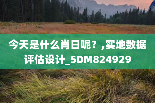 今天是什么肖日呢？,实地数据评估设计_5DM824929