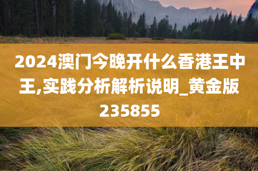 2024澳门今晚开什么香港王中王,实践分析解析说明_黄金版235855