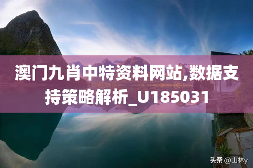 澳门九肖中特资料网站,数据支持策略解析_U185031