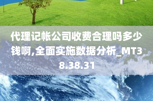 代理记帐公司收费合理吗多少钱啊,全面实施数据分析_MT38.38.31