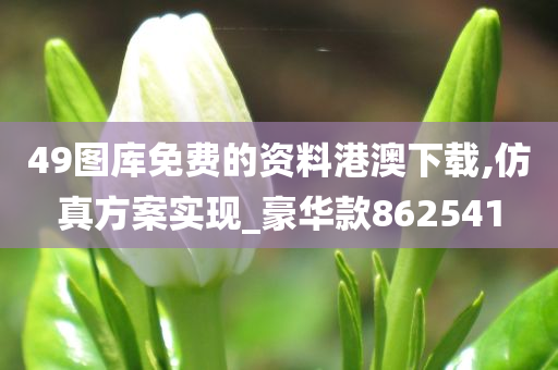 49图库免费的资料港澳下载,仿真方案实现_豪华款862541