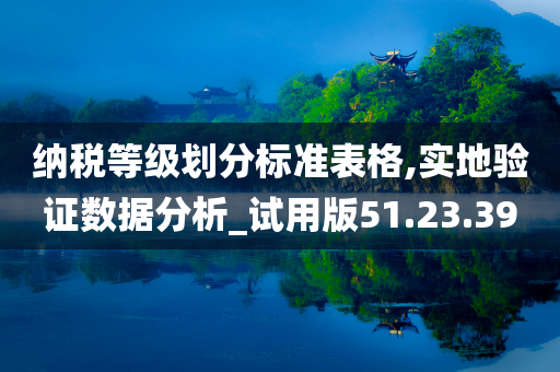 纳税等级划分标准表格,实地验证数据分析_试用版51.23.39