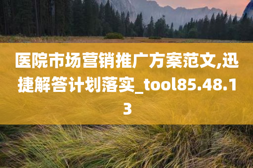 医院市场营销推广方案范文,迅捷解答计划落实_tool85.48.13