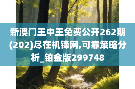 新澳门王中王免费公开262期(202)尽在机锋网,可靠策略分析_铂金版299748