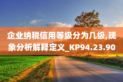 企业纳税信用等级分为几级,现象分析解释定义_KP94.23.90