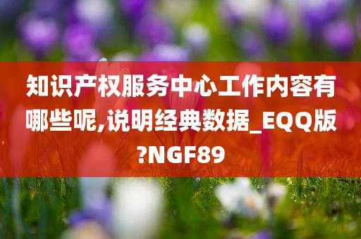 知识产权服务中心工作内容有哪些呢,说明经典数据_EQQ版?NGF89