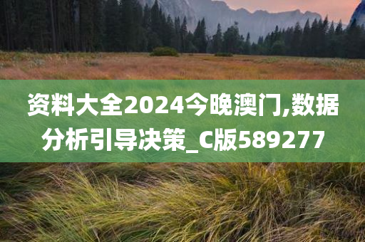 资料大全2024今晚澳门,数据分析引导决策_C版589277